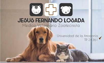 veterinaria Fernando losada