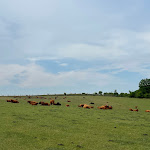 Photo n°13 de l'avis de Marcel.. fait le 08/06/2023 à 20:09 sur le  Reit- & Sporthotel NORDMANN à Stangerode