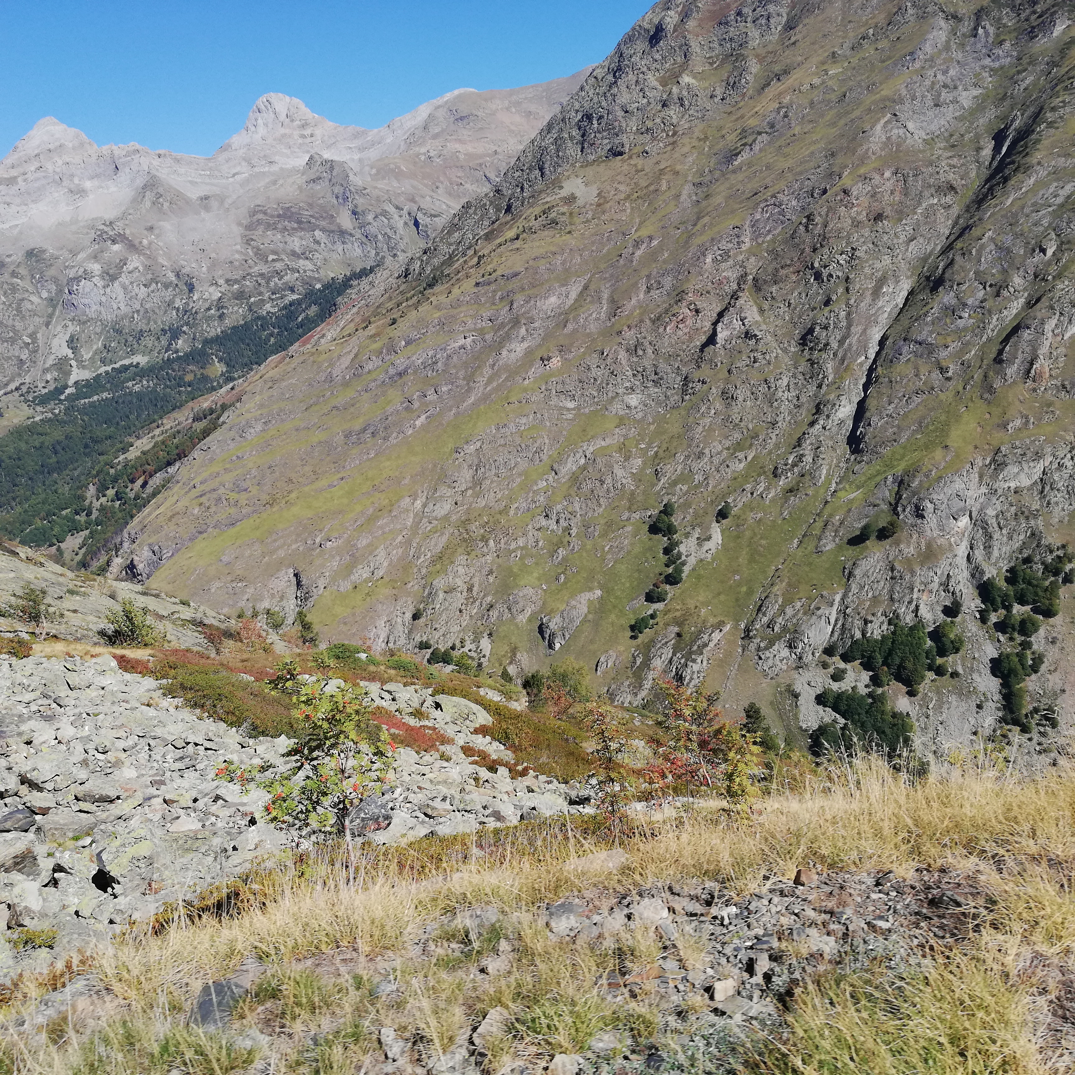 Photo n° 10 de l'avis de boileau.r fait le 29/09/2022 à 17:25