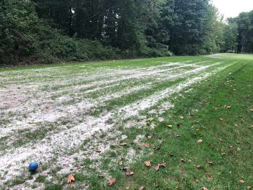 Golf Course «Greendale Golf Course», reviews and photos, 6700 Telegraph Rd, Alexandria, VA 22310, USA