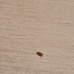 Photo n°1 de l'avis de Amanda.e fait le 13/08/2023 à 15:46 sur le  Boutique Kaiser - Hotel & Apartments à Frankfurt