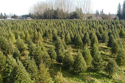 Oh Christmas Tree Farm