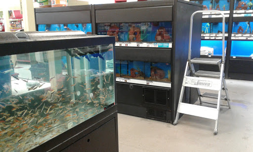 Pet Supply Store «Petco Animal Supplies», reviews and photos, 1415 E Warner Rd, Gilbert, AZ 85296, USA