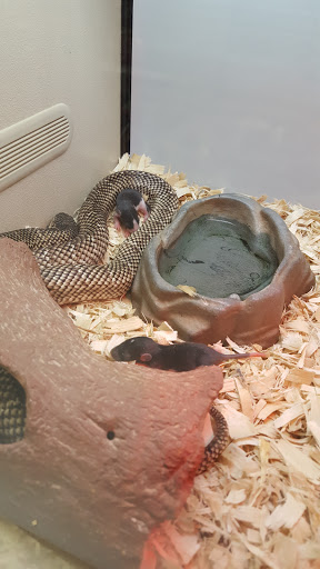 Pet Supply Store «Pet Expo Distributors», reviews and photos, 1800 Adams St, Mankato, MN 56001, USA