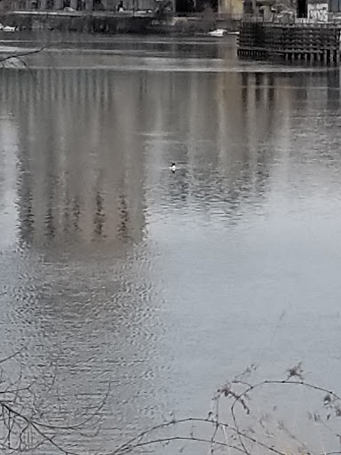 Park «Boom Island Park», reviews and photos, 724 Sibley St NE, Minneapolis, MN 55413, USA