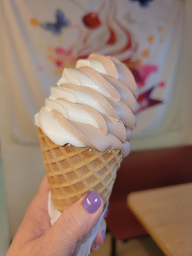 Ice Cream Shop «Deltona Ice Cream», reviews and photos, 2801 Elkcam Blvd, Deltona, FL 32738, USA