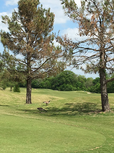 Golf Course «Firewheel Golf Park», reviews and photos, 600 W Campbell Rd, Garland, TX 75044, USA