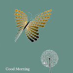 Photo n°1 de l'avis de Aruna.a fait le 13/12/2019 à 18:35 sur le  Pizza Da Luigi à Pesaro