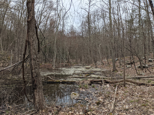 Nature Preserve «John Burroughs Slabsides», reviews and photos, Burroughs Dr, West Park, NY 12493, USA
