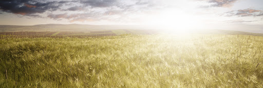 Funeral Home «Peck Funeral Homes», reviews and photos, 516 Washington St, Braintree, MA 02184, USA