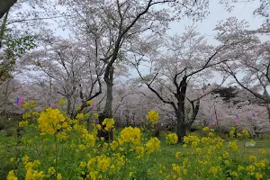 Tsurumai Park image