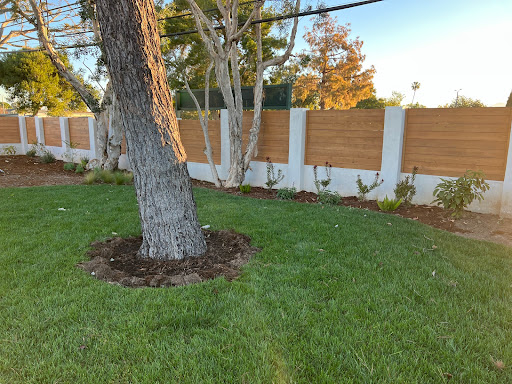Tree service Huntington Beach