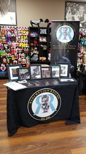 Pet Store «Pet Valu», reviews and photos, 125 Danbury Rd #06, Ridgefield, CT 06877, USA