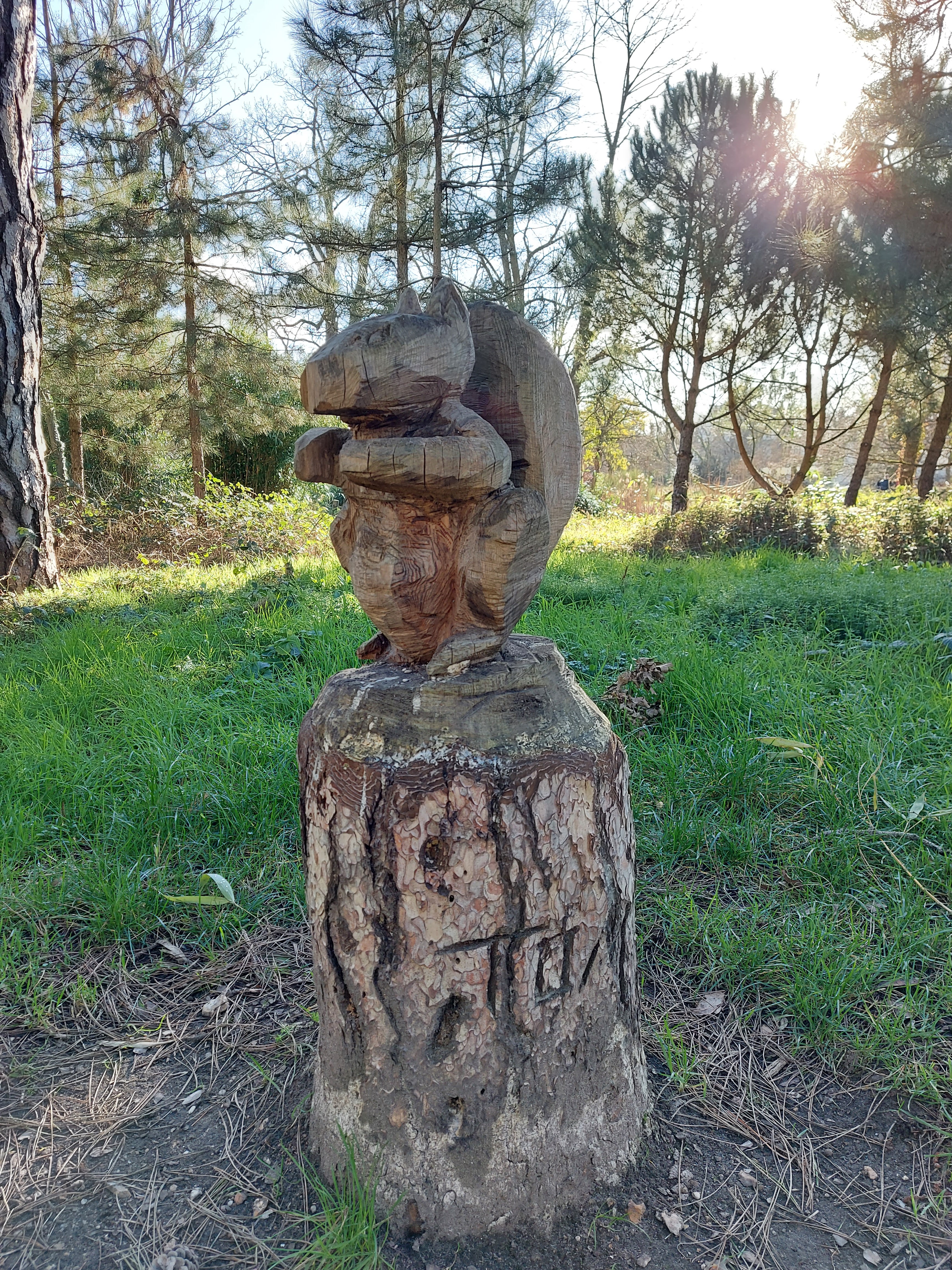 Photo n° 8 de l'avis de Laetitia.a fait le 05/02/2022 à 16:47