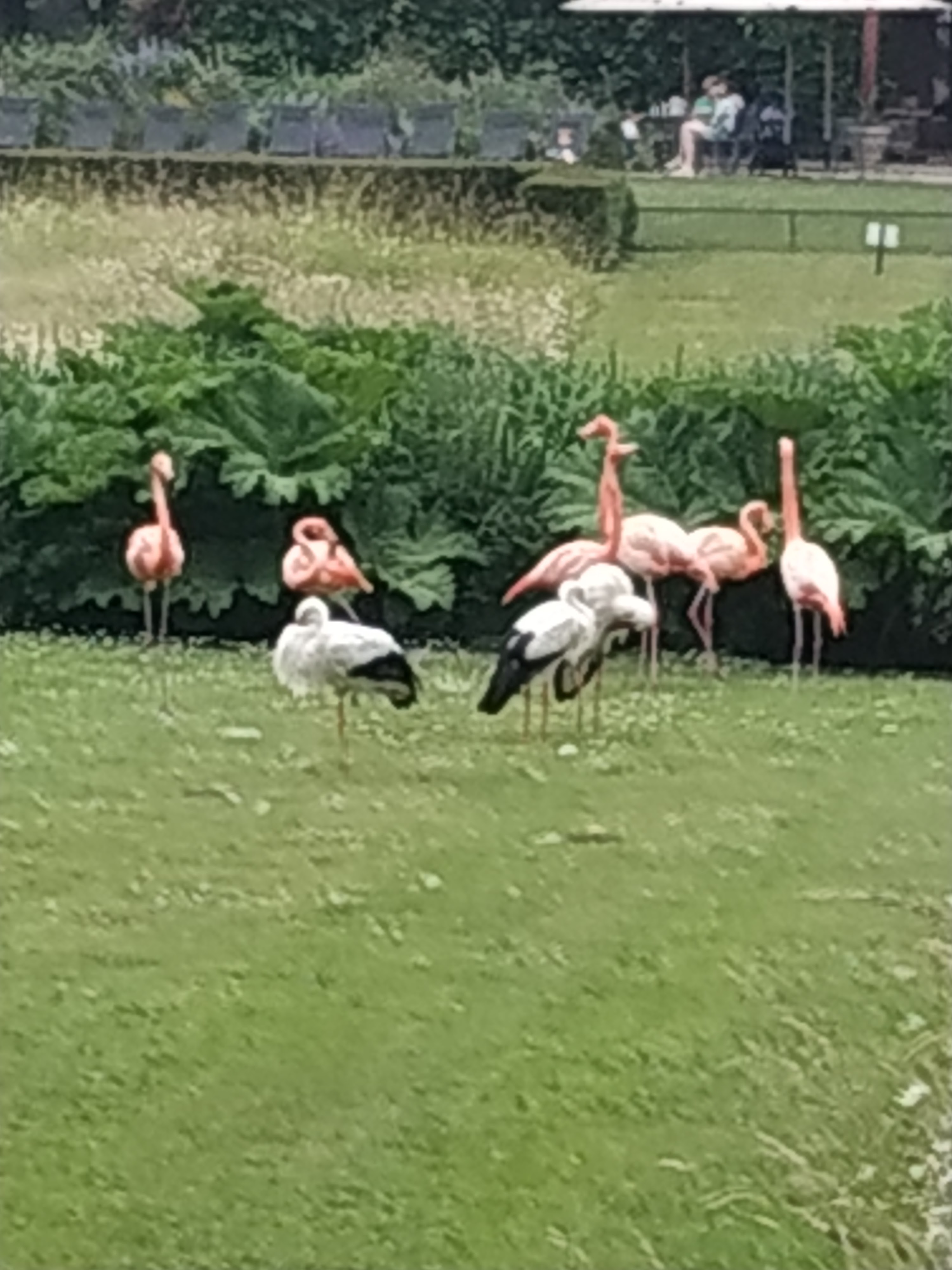 Photo n° 17 de l'avis de marie.l fait le 13/06/2023 à 20:22