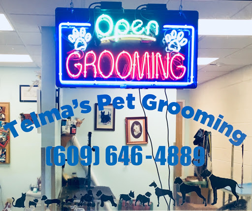 Pet Supply Store «Animal House Grooming & Quality», reviews and photos, 229 W Absecon Blvd, Absecon, NJ 08201, USA
