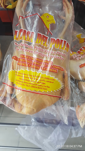 LA CASA DEL POLLO - LATACUNGA / Pollos Pelados y Vivos en Ecuador - Tienda de ultramarinos