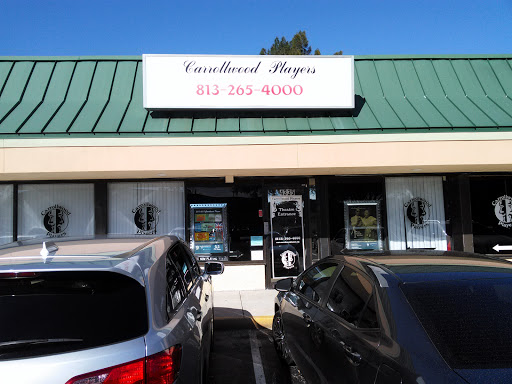 Performing Arts Theater «Carrollwood Players Inc», reviews and photos, 4333 Gunn Hwy, Tampa, FL 33618, USA