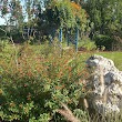 Markham Park Butterfly Garden