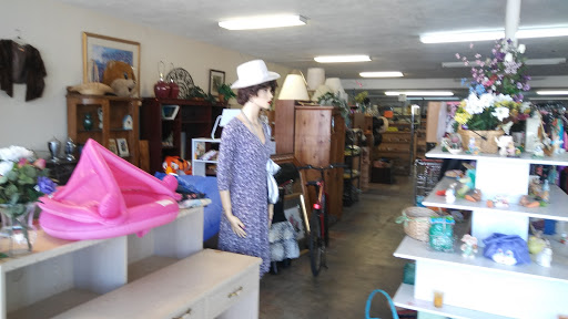 Home Goods Store «Paws & Claws Thrift Store», reviews and photos, 132 E Broad St, Groveland, FL 34736, USA