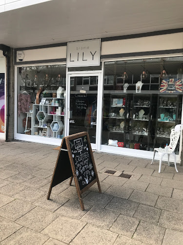 Reviews of blame LILY in Plymouth - Clothing store