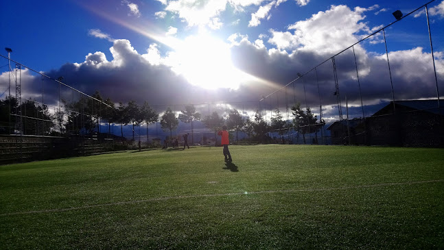 Cancha Sintetica Bellavista