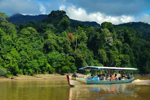 Deep Rainforest Tour Operator image