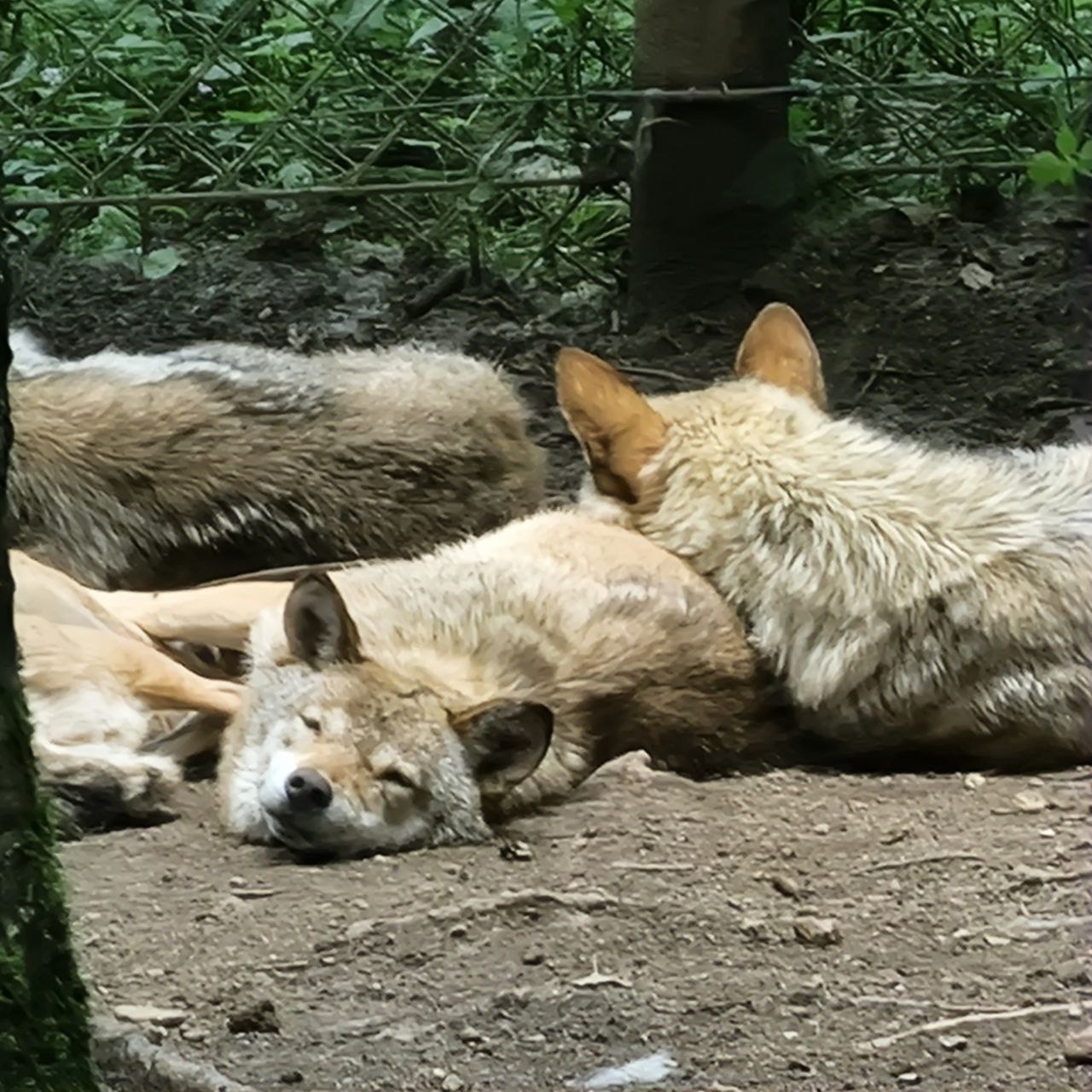 Photo n° 1 de l'avis de Coralyne.e fait le 04/07/2023 à 21:33