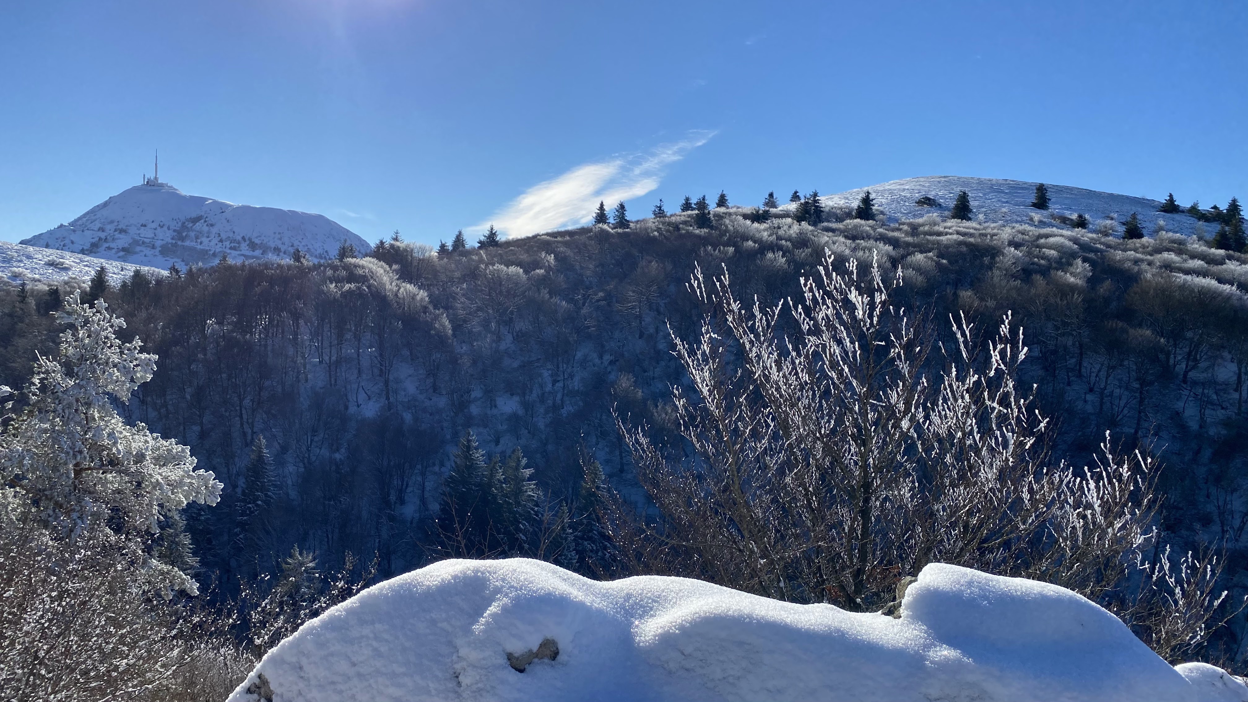 Photo n° 41 de l'avis de Michel.o fait le 12/01/2022 à 18:09