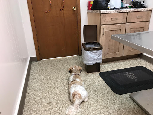 Beecher Veterinary Clinic