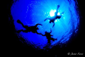 Rivemar Dive Resort, S.L. image