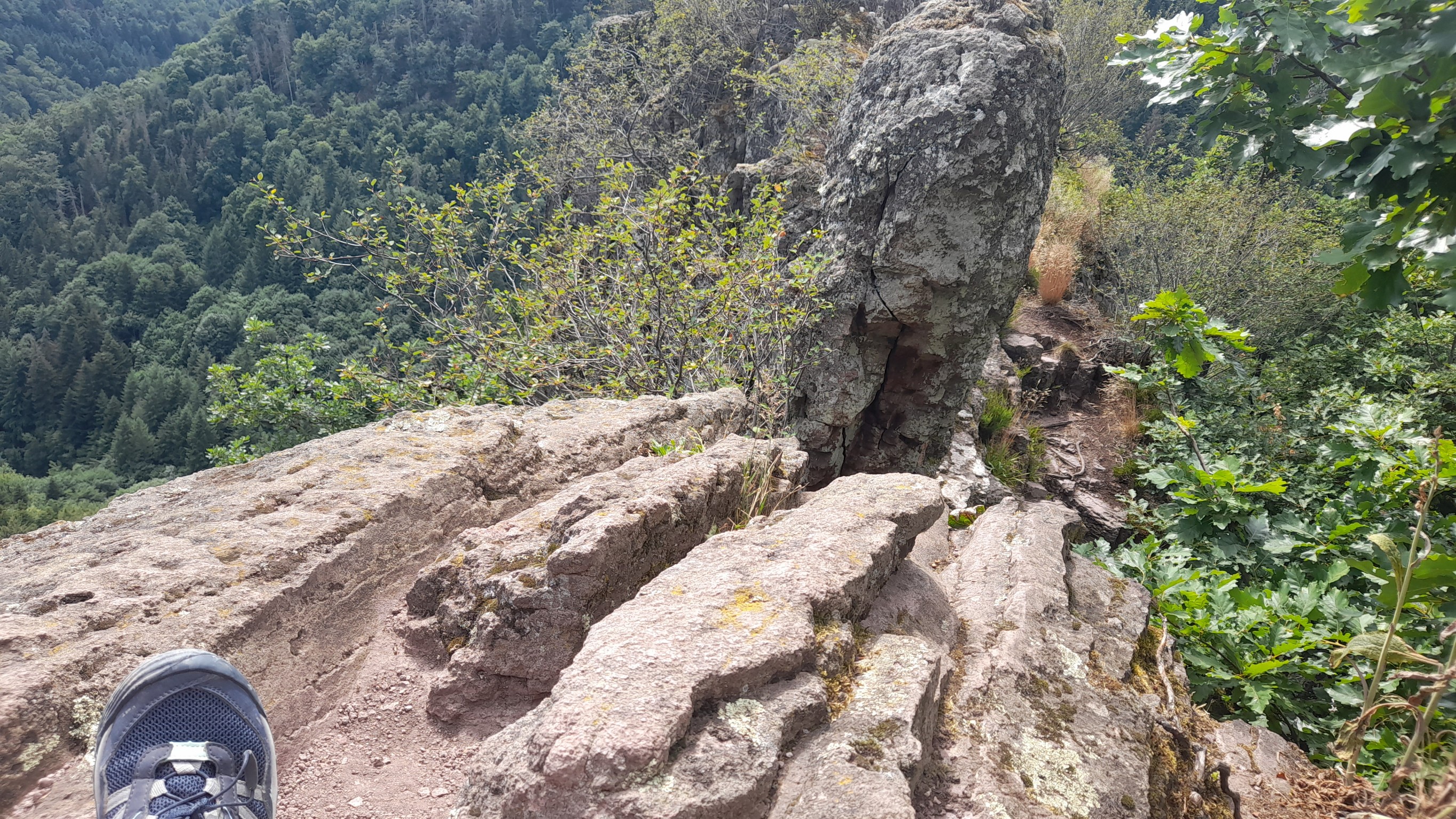 Photo n° 25 de l'avis de Kris.c fait le 20/07/2022 à 13:28