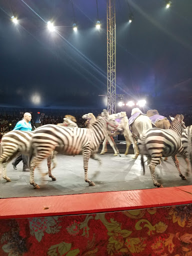 Festival «Atlanta Fair», reviews and photos, 655 Central Ave SW, Atlanta, GA 30312, USA