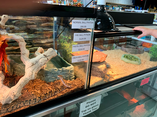 Pet Store «Wet Pets N Critters», reviews and photos, 103 TX-281 Loop, Longview, TX 75605, USA