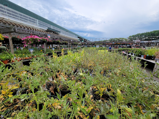 Home Improvement Store «Menards», reviews and photos, 2800 Indian Dr, Port Huron, MI 48060, USA