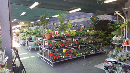 Hardware Store «Chase Ace Hardware Garden & Gift Emporium», reviews and photos, 1826 4th St, San Rafael, CA 94901, USA