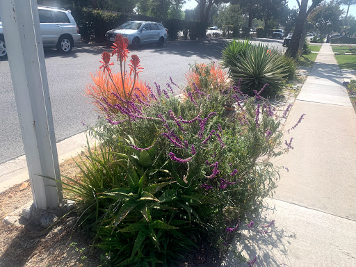 Asian Grocery Store «Datmoi Market», reviews and photos, 14415 Crenshaw Blvd, Gardena, CA 90249, USA