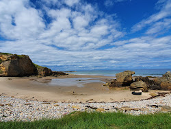 Cove Bay Beach'in fotoğrafı çok temiz temizlik seviyesi ile