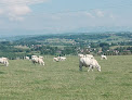 Dauphiné Tourisme La Chapelle-de-la-Tour