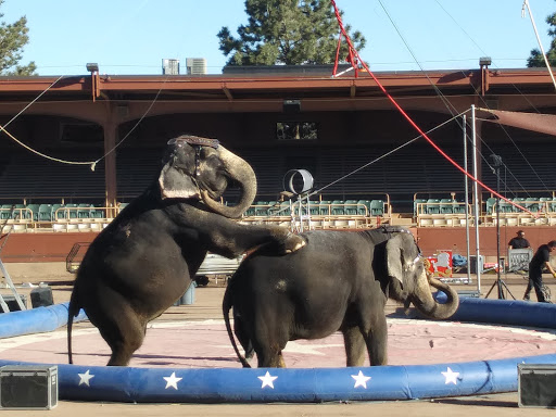 Event Venue «Norris Penrose Event Center», reviews and photos, 1045 Lower Gold Camp Rd # 3, Colorado Springs, CO 80905, USA