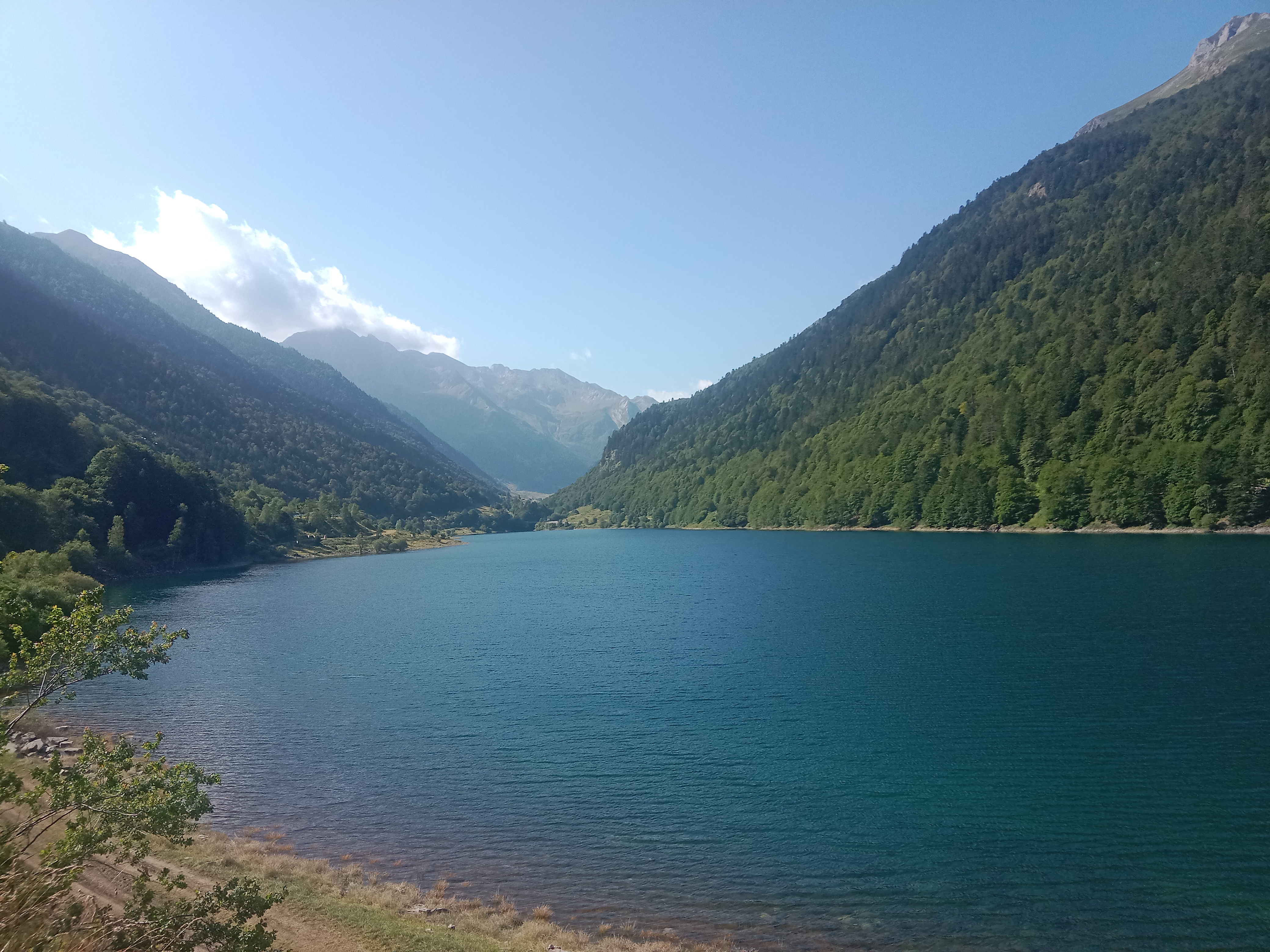 Photo n° 11 de l'avis de Sandrine.e fait le 23/07/2023 à 16:25