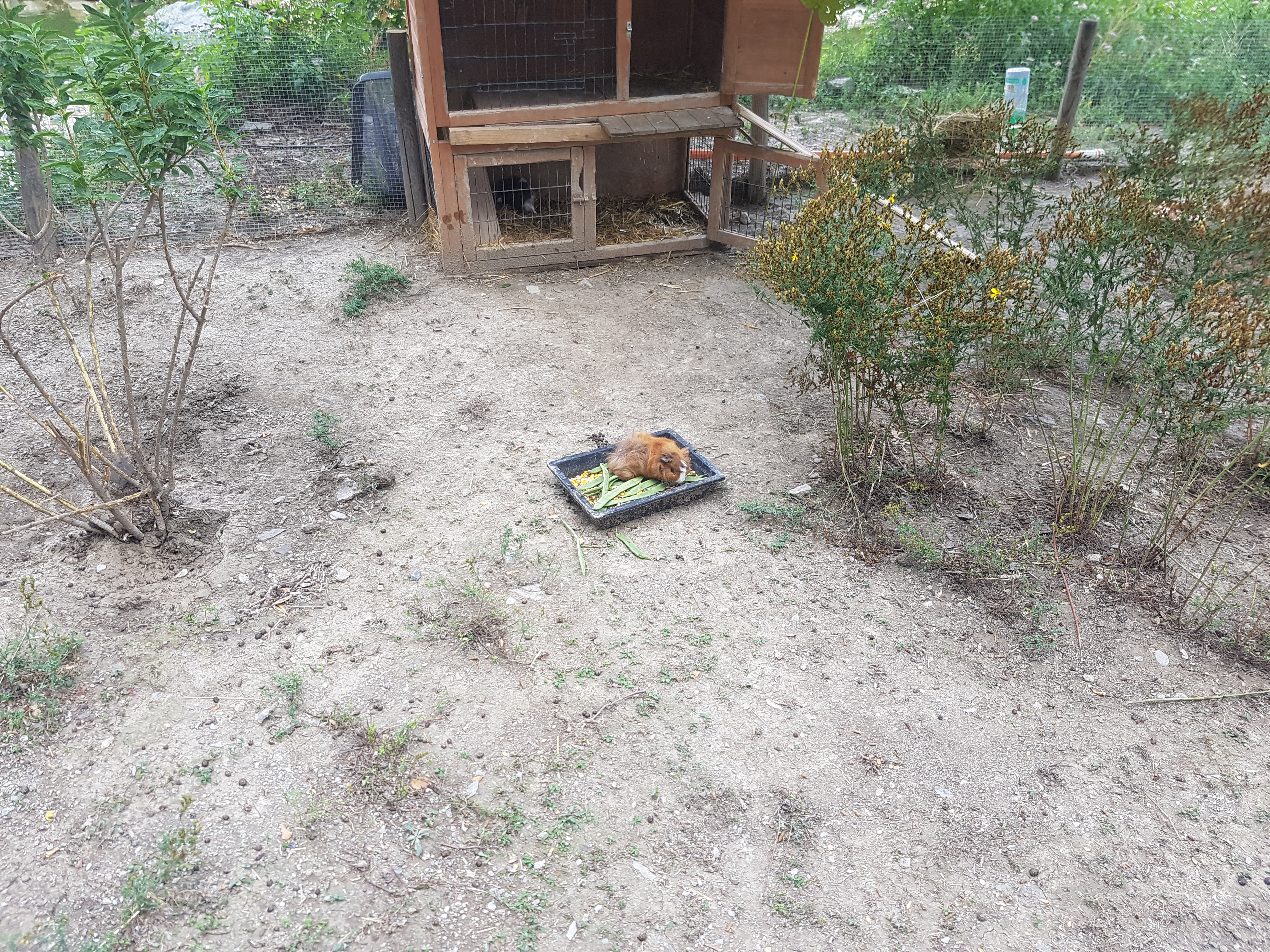 Photo n° 9 de l'avis de Boby.w fait le 22/08/2019 à 17:58