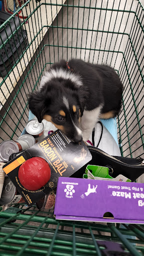 Pet Supply Store «Pet Supplies Plus», reviews and photos, 283 Middle Turnpike W, Manchester, CT 06040, USA