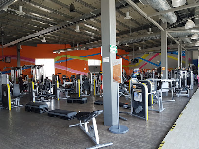 easyfit - Avenida Camino al ITESO y Anillo Periférico Sur Manuel Gómez Morín 8636, Santa María Tequepexpan, 45530 San Pedro Tlaquepaque, Jal., Mexico