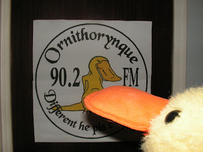 Radio Ornithorynque à Bouloire