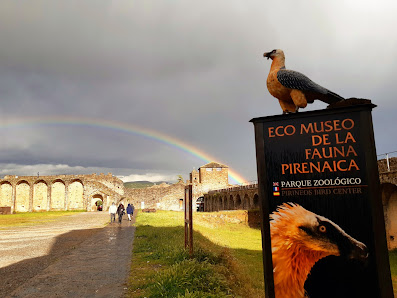 Ecomuseo de la Fauna. Fundación para la Conservación del Quebrantahuesos Pl. Castillo, 22330 Aínsa, Huesca, España