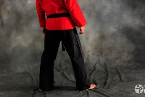 WestWind Karate Midvale image