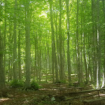 Photo n°1 de l'avis de Patrizio.O fait le 24/05/2021 à 20:33 sur le  La Baita della Sceriffa à Farindola