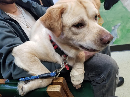 801 Main Ave, Tillamook, OR 97141, USA