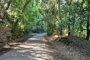 Cerro Ñielol image